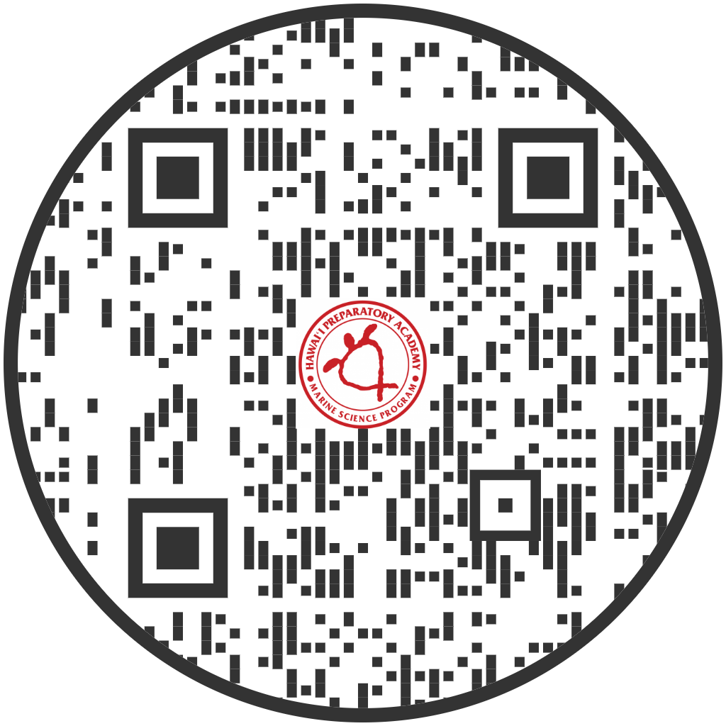 Fishing Line Recycling Marine Studies HPA SCUBA Sea Turtle fishing-line-recycling-marine-studies-hpa-scuba-sea-turtle